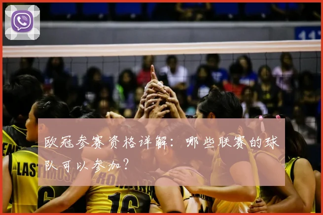 欧冠参赛资格详解：哪些联赛的球队可以参加？