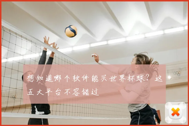 想知道哪个软件能买世界杯球？这五大平台不容错过