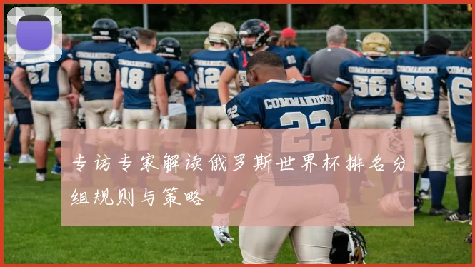 专访专家解读俄罗斯世界杯排名分组规则与策略
