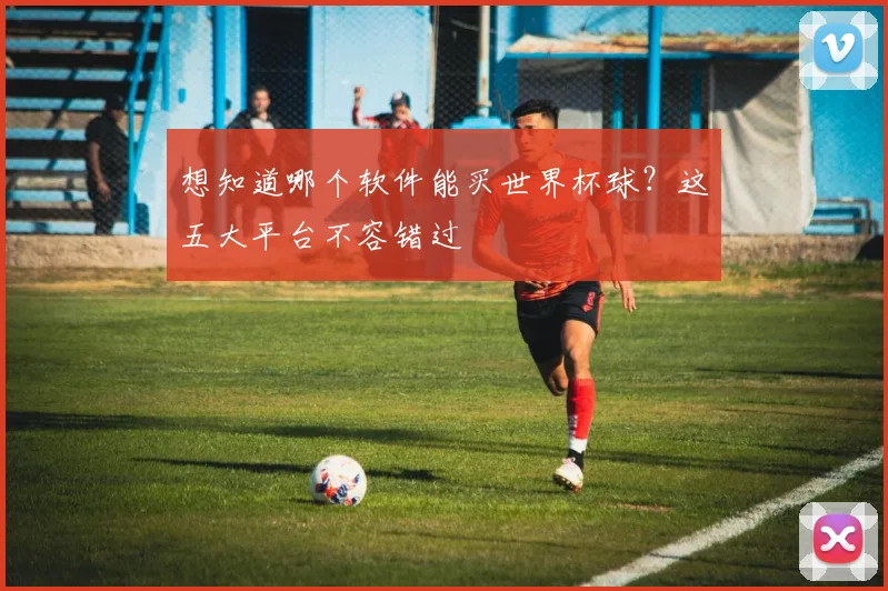 想知道哪个软件能买世界杯球？这五大平台不容错过