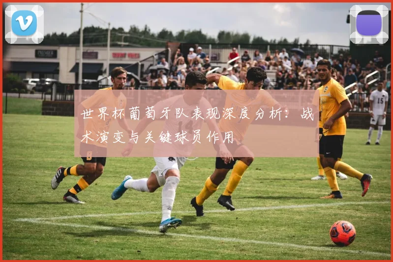 世界杯葡萄牙队表现深度分析：战术演变与关键球员作用