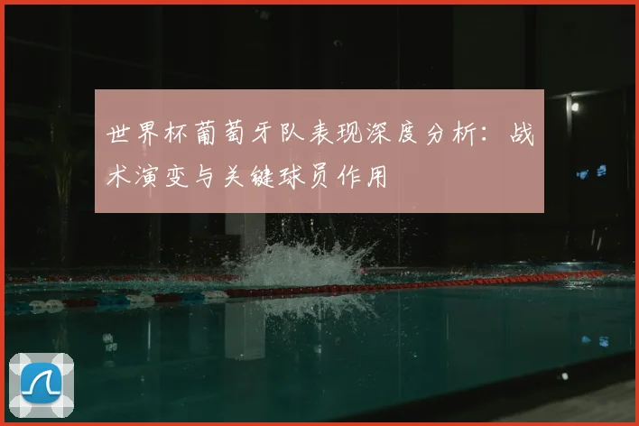 世界杯葡萄牙队表现深度分析：战术演变与关键球员作用