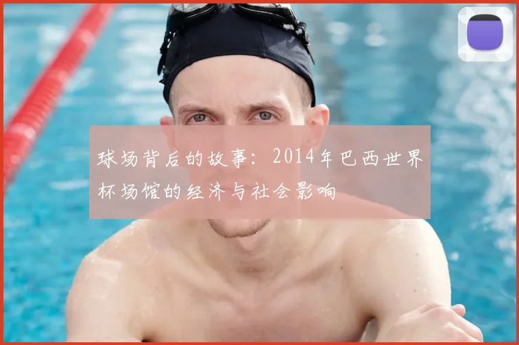 球场背后的故事：2014年巴西世界杯场馆的经济与社会影响
