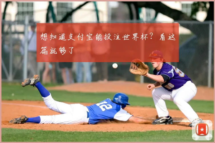 想知道支付宝能投注世界杯？看这篇就够了