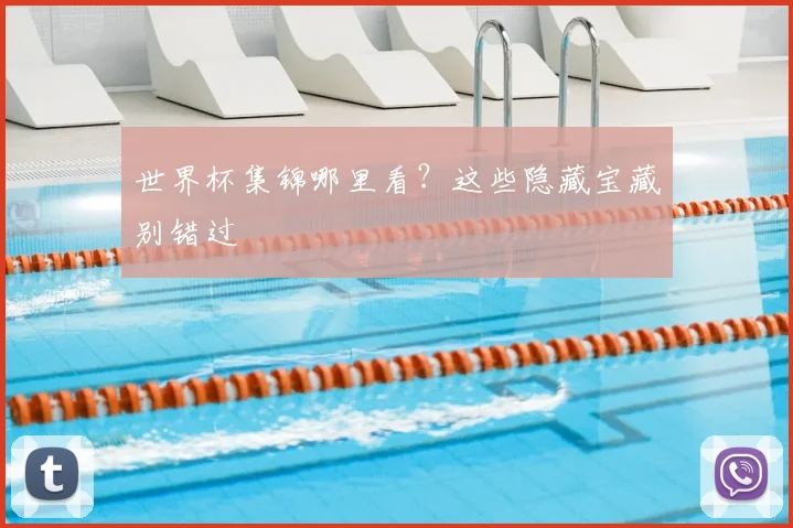 世界杯集锦哪里看?这些隐藏宝藏别错过