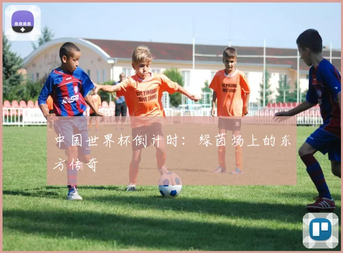 中国世界杯倒计时：绿茵场上的东方传奇