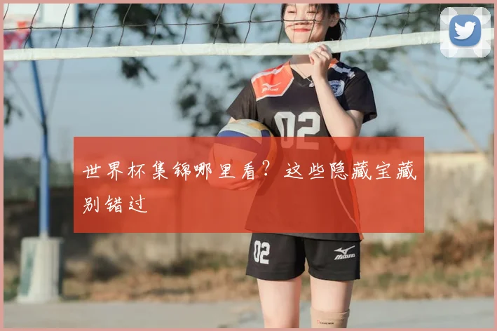 世界杯集锦哪里看?这些隐藏宝藏别错过