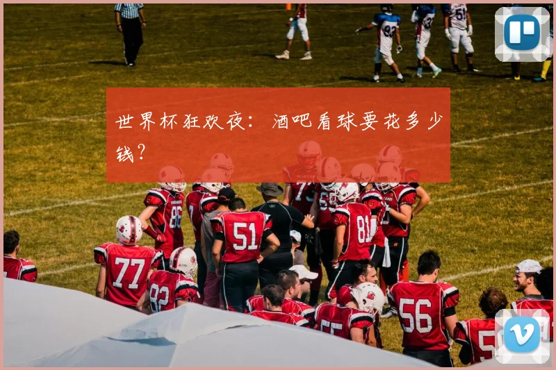 世界杯狂欢夜：酒吧看球要花多少钱？